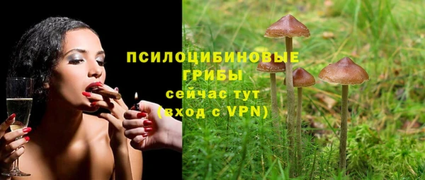 бутират Баксан
